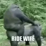 Ride Wife, Life Gud
