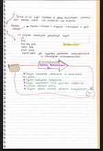 CRAZY diga 2 - Sound