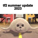 Chrysocome penguins of madagascar