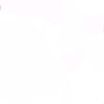 ROBLOX Sword Equip Unsheath Sound Effect