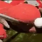 Don't Go That Way (copy)