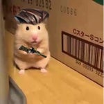 you headhunted in the wrong neighborhood