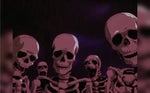 Skeletons roasting sound