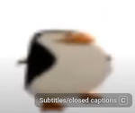 Penguin emotion