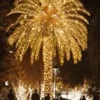 Me a llamado Palmera