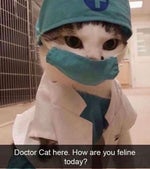 Treat Me like white tee Rizz song Sound Effect - Sound