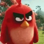 Recording 11/11/25 13:22:43