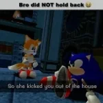 Amy kickes Sonic out of the house