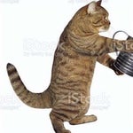 DJ EBAN [BASS BOOSTED]