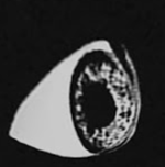 lodaluk ``SHUT UP´´ part