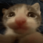 Se eu fecho meus olhos minha mente desenha você