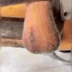 hodensack in kaltes Wasser