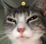 2 DABOGDA KREPALA (REMIX) [KRV NIJE VODA]