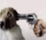 yall be messing with the wrong woof