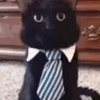 what does it hurt to love u