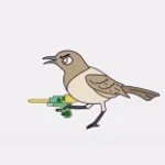 Oh wow is that a mockingbird_