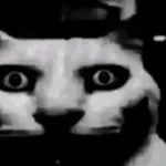 FALLOUT_Help Me_ Sound Effect (mp3cut.net)