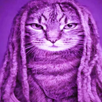 Tung Tung Tung Tung Kid