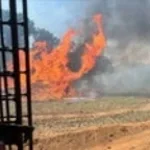 English Burning Callout (copy) (copy)