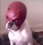 How can you see into my eyes