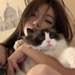 Hello Zoner (Slowled)