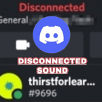 Discord Disconnect