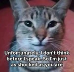 Nelly - Dilemma (feat. TUCO)