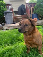 Thank you for sunshine - Sound