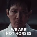 WE ARE NOT HORSE'S