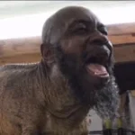 unc a little crazy scream