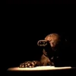 J-Gems Springtrap "..Stop!.."