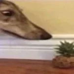 Ich bin in Dir - Version 2001