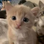 wawawa melina slowed