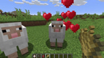Sheep - Sound 3