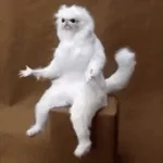 HOW