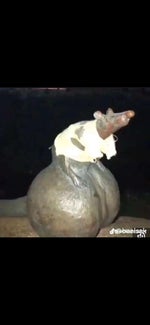 POV: ahmed hosam can't hear