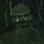 Busquem Comer Cimento