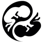 Microsoft Windows XP Error