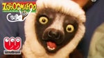 Zoboomafoo Theme Song - Sound