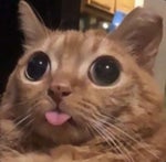 THOMAS releases in 12TH APRIL - Sound