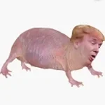 gbrbgsuyserbuyesrbgrweyubbyuersbygsrebyuerbygserybugersyb