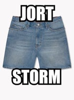 This Just in Jort Shorts