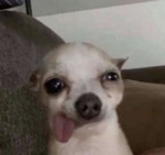Ugh