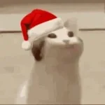 UIA Cat - Feliz Navidad bass boosted