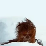 Droid Scream