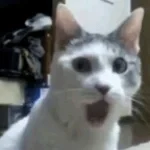 oi oi oe oi a eye eye eh eu uh ah