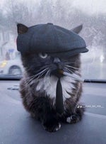 GRIFFFIIIIIIIIIITHHHHHHHHHHHHHH