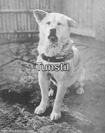 KILLER QUEEN BITES THE DUST [JoJos Bizarre Adventure]