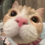 CLASH OF CLANS MUSIC 1