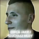 Owca Jakiej Słuchasz Muzy
